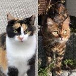 Mir fiel ein großer Stein vom Herzen