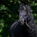 Wir haben wieder zurück ins Vertrauen gefunden